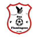 日历之星俱乐部