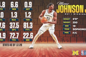 模板斯图尔特！密歇根强硬内线小莫雷兹·约翰逊大学集锦~